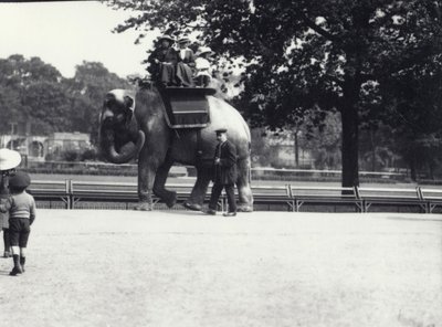 Ein asiatischer Elefant, geritten von zwei Damen und einem jungen Mädchen, mit einem Wärter an ihrer Seite, London Zoo, Mai 1914 von Frederick William Bond